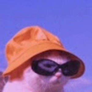 Meet your Posher, Peyton